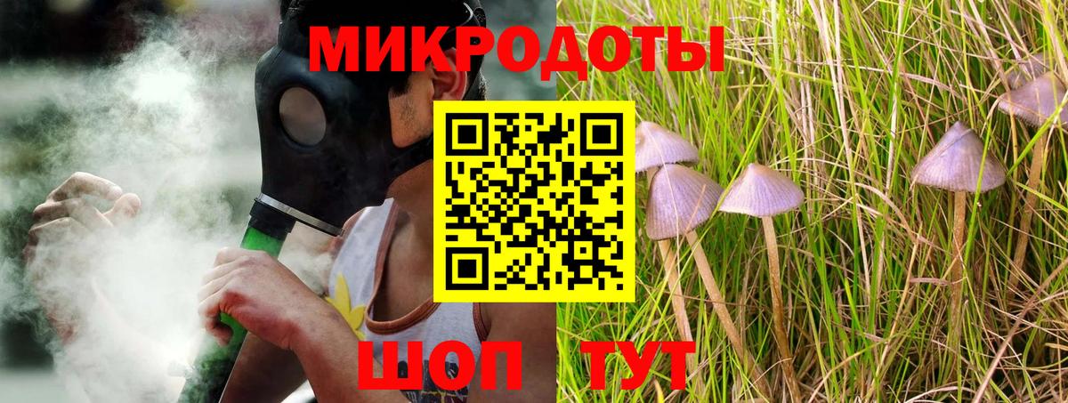 Галлюциногенные грибы Psilocybine cubensis Алексеевка