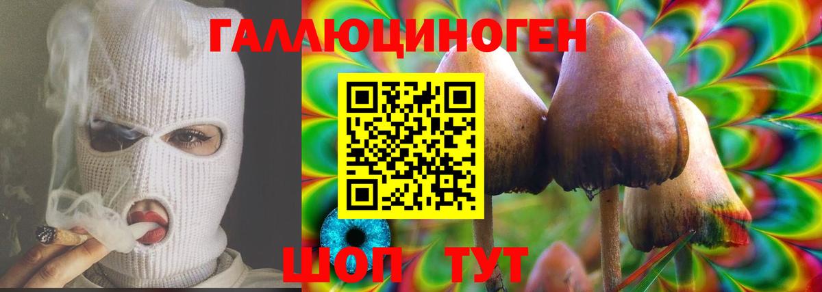 Псилоцибиновые грибы GOLDEN TEACHER  Вход с VPN  Алексеевка 