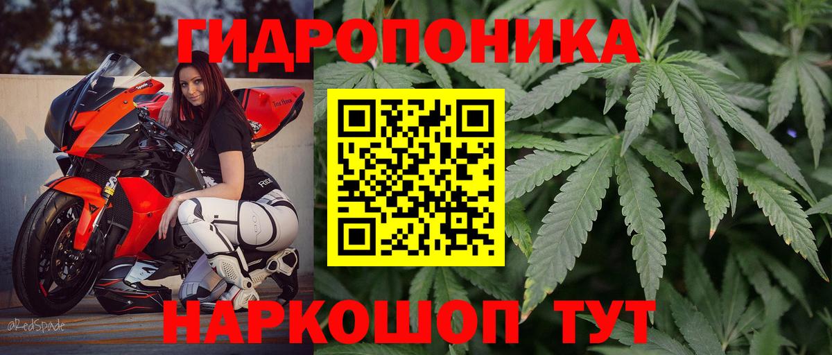 Алексеевка  Шишки марихуана OG Kush  Бошки марихуана OG Kush  Вход с VPN  Канабис сатива 